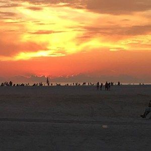 Meet your Posher, Frances